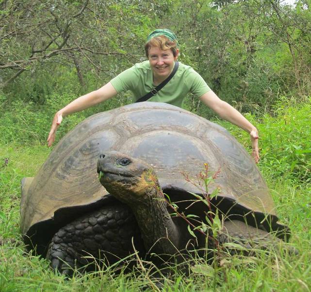 About Orana Travel, Galapagos Tortoise at Rancho Primicias, Santa Cruz