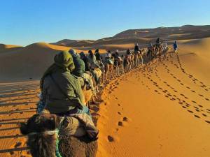 Overnight Sahara Camel Trek, Merzouga, Morocco
