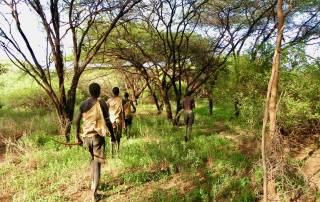 Hadzabe Men Hunting, Lake Eyasi Safari
