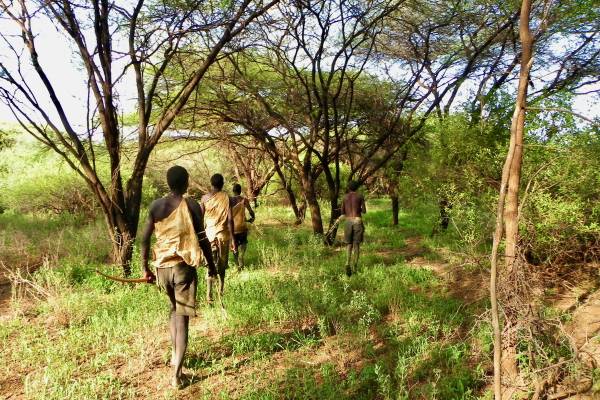 Hadzabe Men Hunting, Lake Eyasi Safari