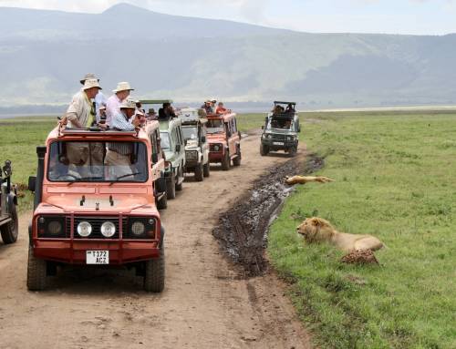 Ngorongoro Crater Safari