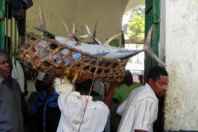 Stone Town Fish Market, Zanzibar Tour