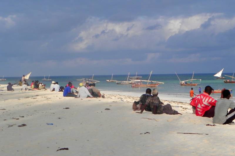 Watching the Catch Arrive, Nungwi Fish Market