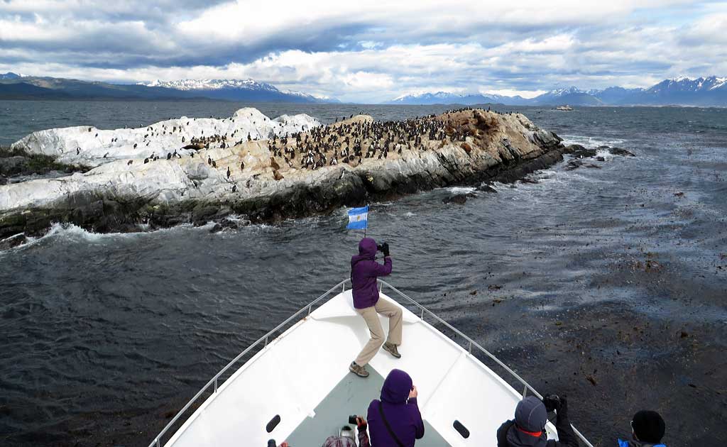 Beagle Channel Cruise, South American Cormorants Look Like Penguins