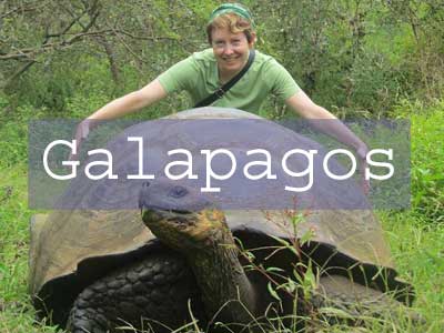 Galapagos Title Page