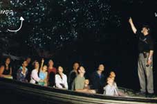 Waitomo Day Trip from Auckland