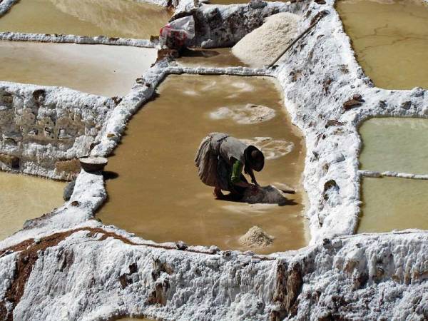 Working Maras Salt Mines, Maras Moray Day Trip
