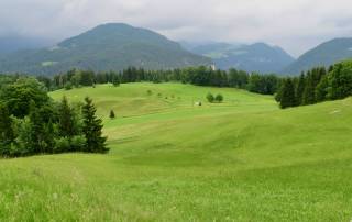 Fields, Hiking from Obersalzberg, Berchtesgaden Visit