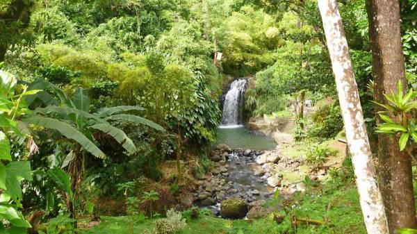 Annandale Falls, Grenada Island Tour