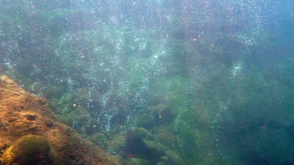 Champagne Reef Snorkel Bubbles, Dominica