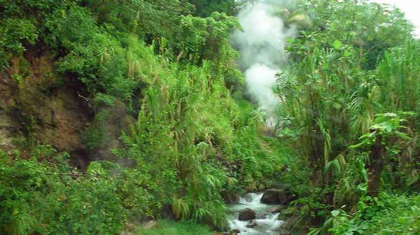 Fumarole Steam Vents, Visit Dominica