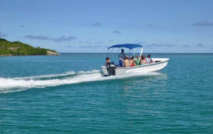 Snorkel Boat, Stingray City Snorkel, Antigua