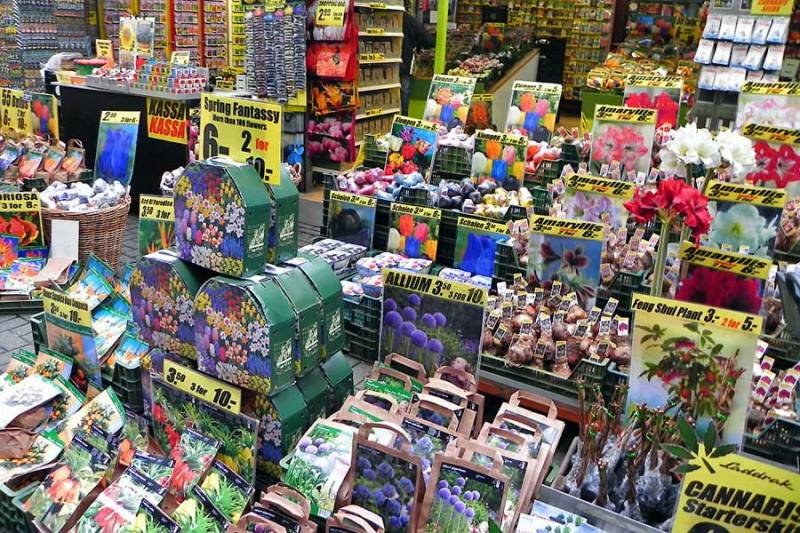 Floating Flower Market, Visit Amsterdam
