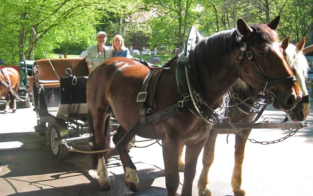Horse-drawn Wagon Ride, Neuschwanstein Castle Visit