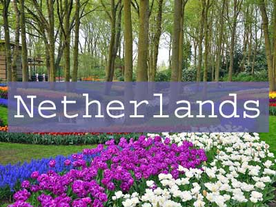 Visit the Netherlands