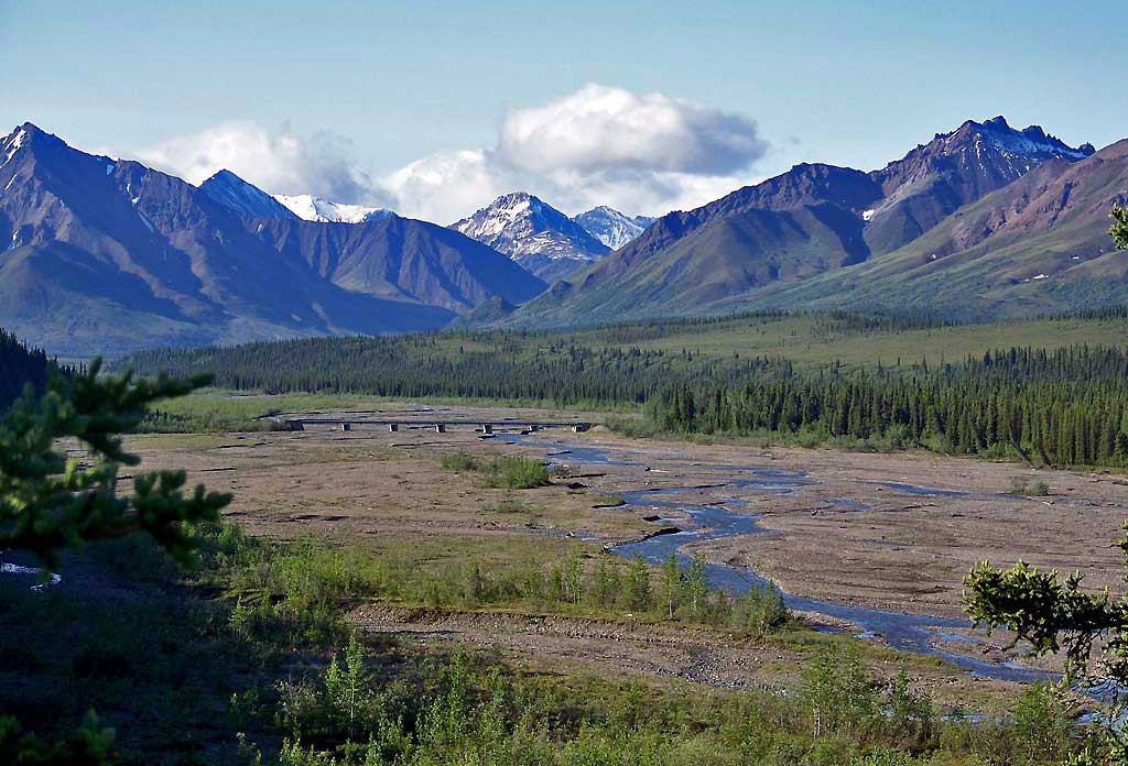 Glacial Braided River Bed, Denali Day Tour