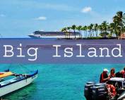 Big Island Title Page