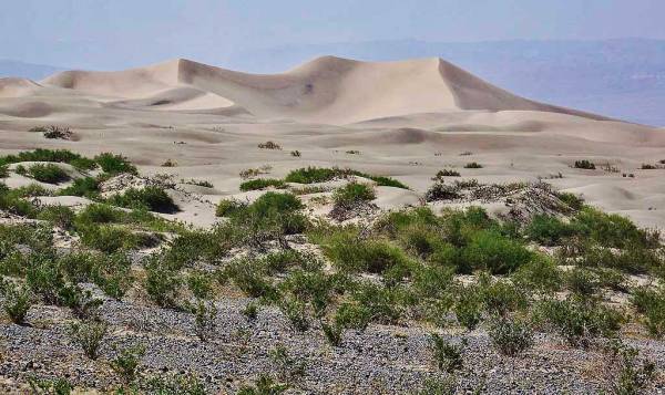 Mesquite Flats Sand Dunes, Death Valle