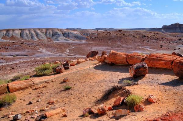 Petrified Forest, Grand Canyon Area Tour