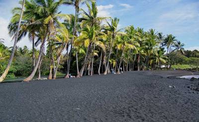 Punalu'u Black Sand Beach, Visit the Big Island