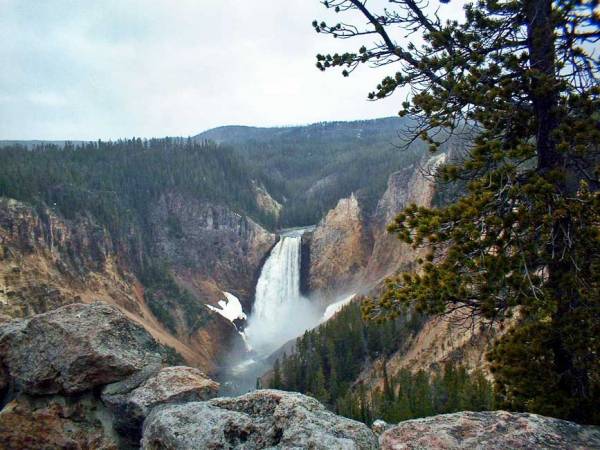 Upper Falls, North Rim, Yellowstone Visit