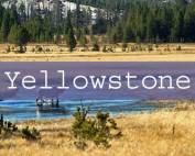 Yellowstone Title Page