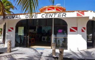 Akumal Dive Center, Akumal Bay Turtle Snorkel
