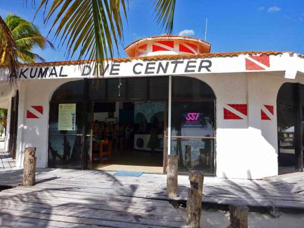 Akumal Dive Center, Akumal Bay Turtle Snorkel