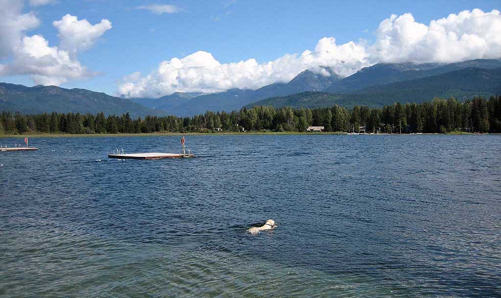 Alta Lake, Whistler Summer Visit