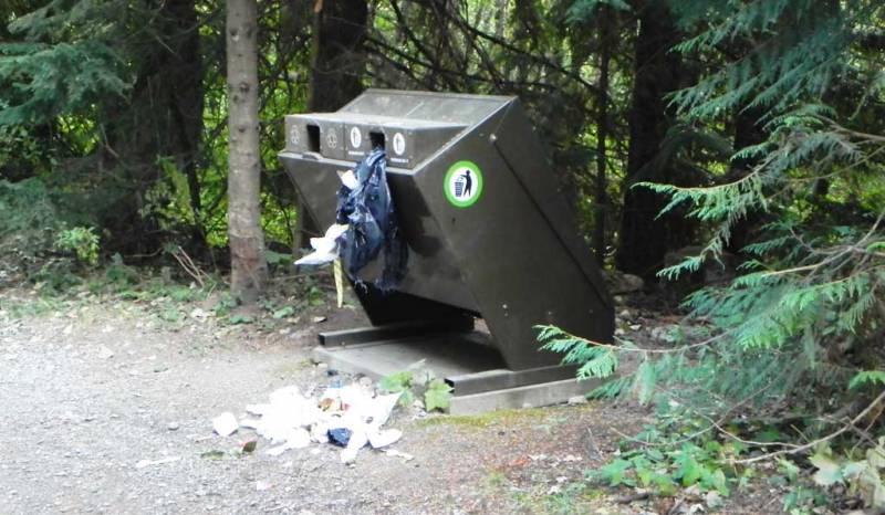 Bear Proof Garbage Bin? Whistler Summer Visit