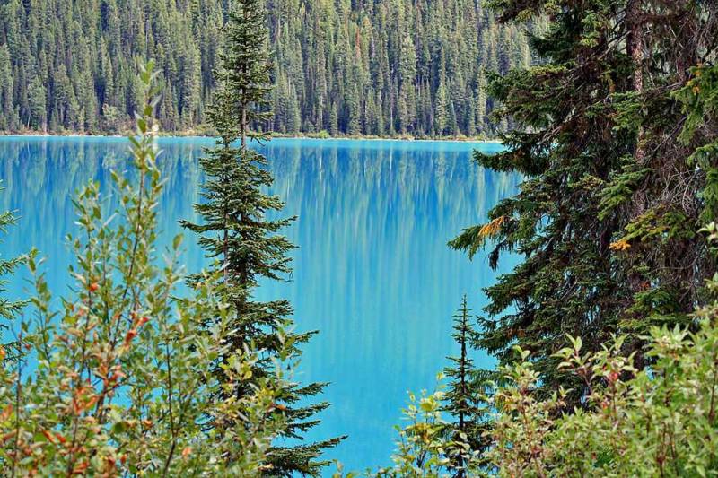 Beautiful shore of Emerald Lake, Visit Yoho National Park