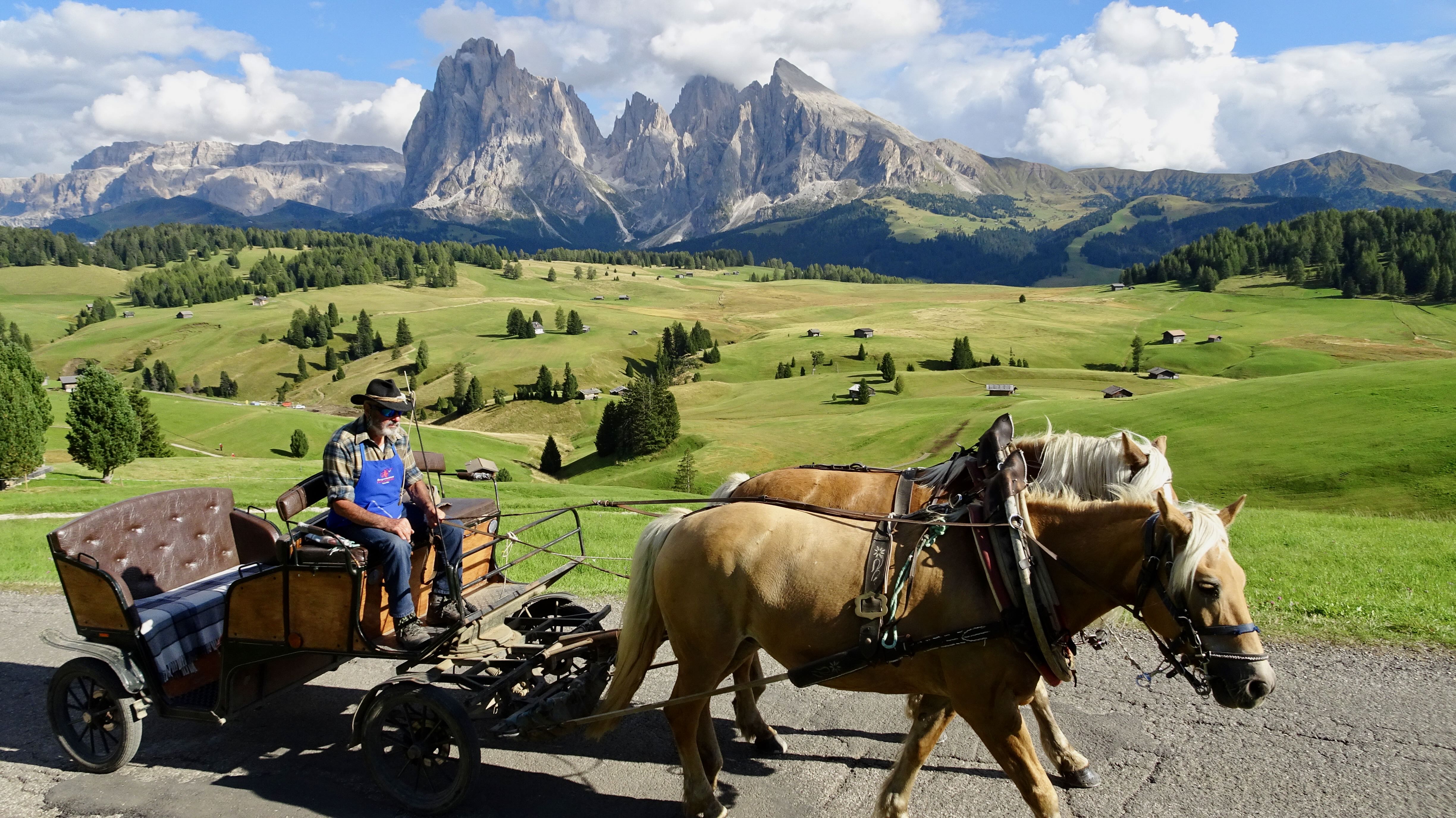 Horse Drawn Wagon, Alpe di Siusi, Hiking the Dolomites