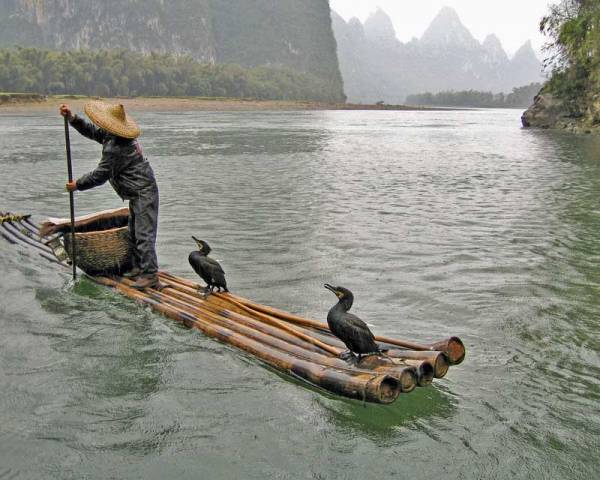 Fisherman with Cormorants, Li River, Visit Guilin
