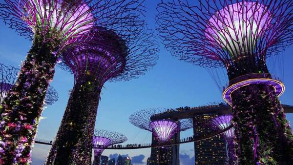 Gardens by the Bay, OCBC Skyway, Visit Singapore