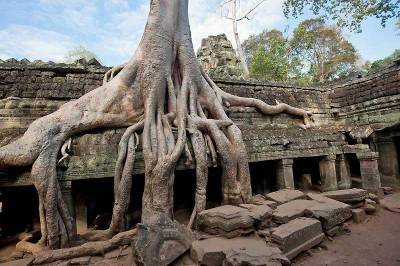 Ta Prohm Temple, Angkor Thom