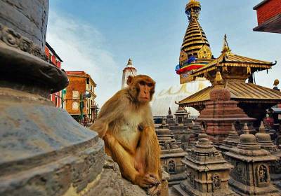 Monkey Temple, Swayambhunath, Visit Kathmandu