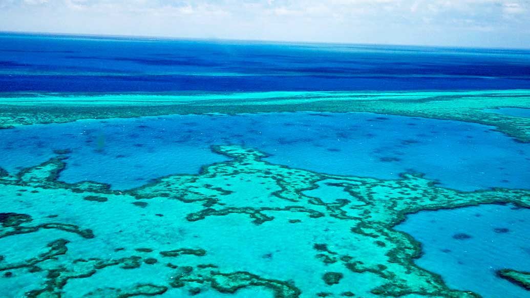 Hardy Reef, Great Barrier Reef Shore Excursions