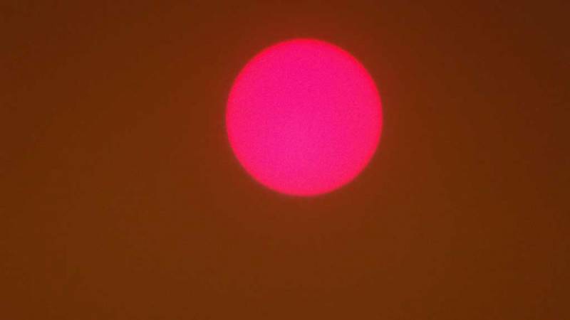 Forest Fires Turning the Sun Red, Sydney Visit, Australia