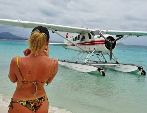 Great Barrier Reef Shore Excursions