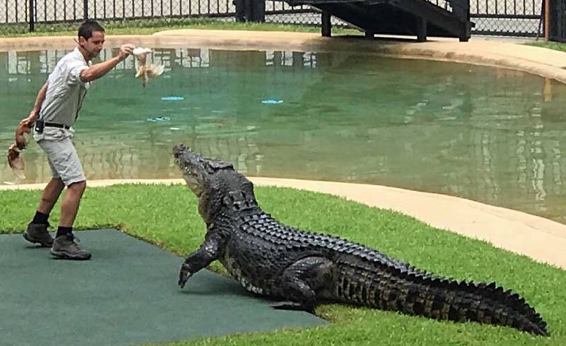 Australia Zoo Crocodile, Brisbane