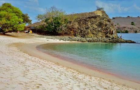 Pink Beach, Komodo Island