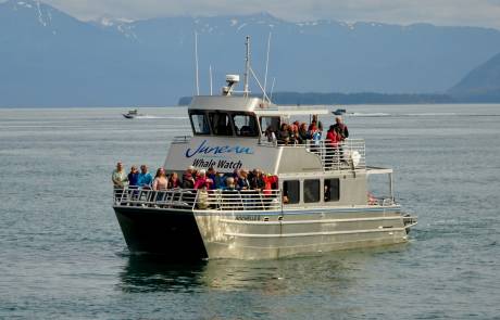 Juneau Whale Watching Tour Boat