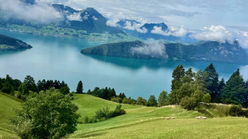 Lake Lucerne from Vitznau Cog Train