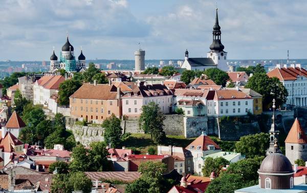 Tallinn Old Town, falco @Pixabay