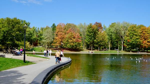 Beaver Lake, Mont Royal