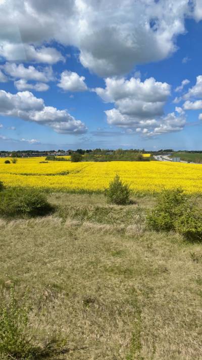 Train Ride from Kalundborg to Roskilde