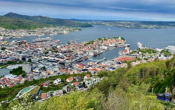 Bergen Shore Excursion Floibanen Summit View