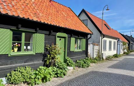 Traditional Visby Houses Traditional Visby Houses, Visby Shore Excursion
