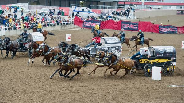Visit Calgary Stampede Chuckwagons