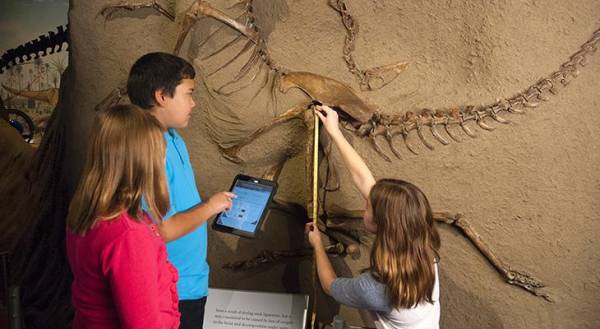Royal Tyrrell Fossil